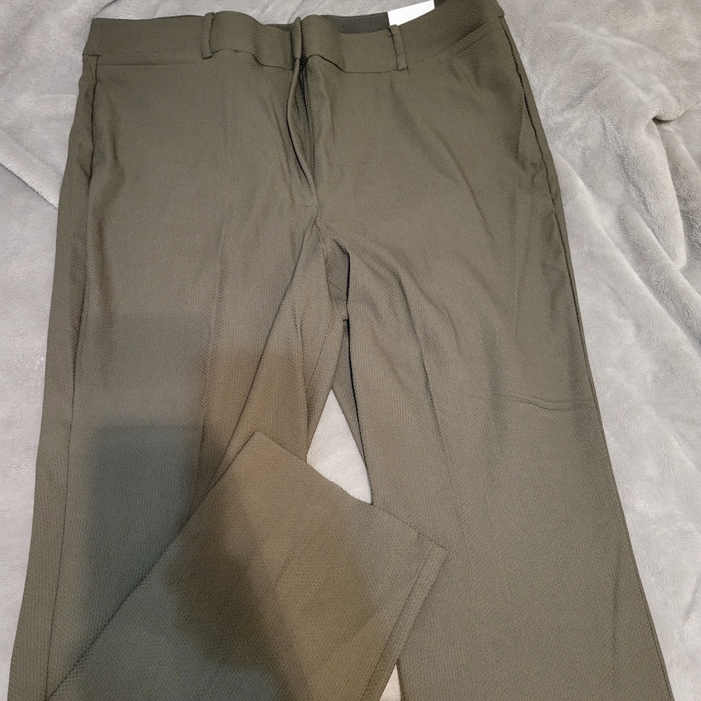 Lane Bryant-High rise straight leg with pockets